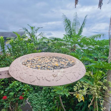 Kona Hawaii Guest House A Unique Hawaii Experience Keauhou Dış mekan fotoğraf