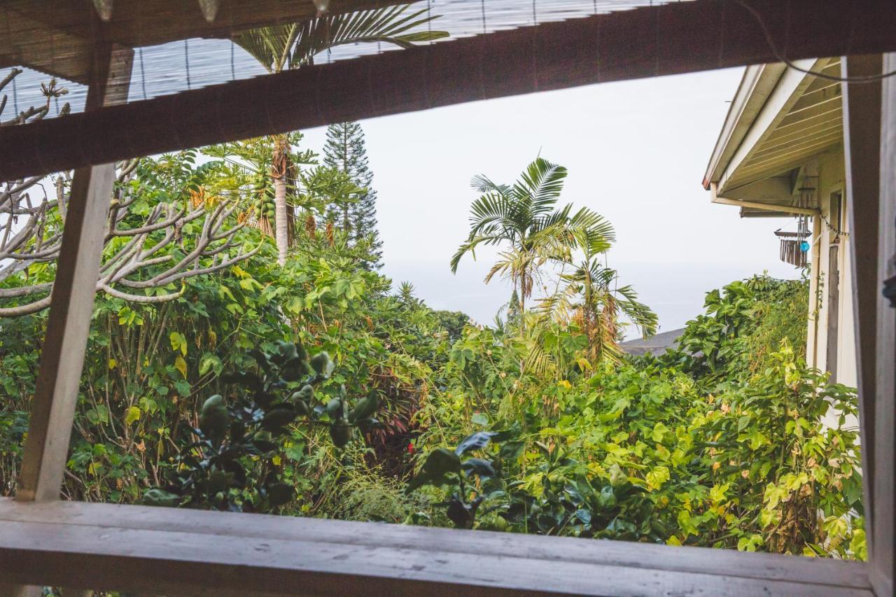 Kona Hawaii Guest House A Unique Hawaii Experience Keauhou Dış mekan fotoğraf