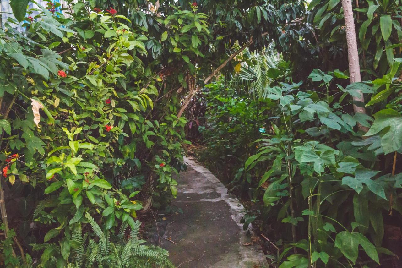 Kona Hawaii Guest House A Unique Hawaii Experience Keauhou Dış mekan fotoğraf