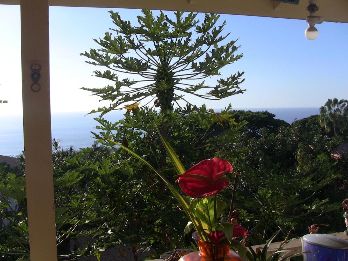 Kona Hawaii Guest House A Unique Hawaii Experience Keauhou Dış mekan fotoğraf