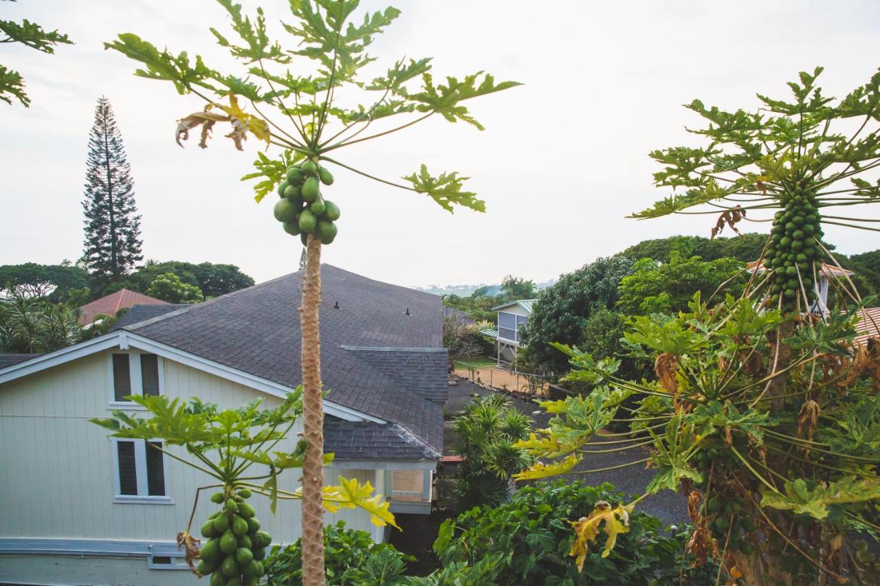 Kona Hawaii Guest House A Unique Hawaii Experience Keauhou Dış mekan fotoğraf