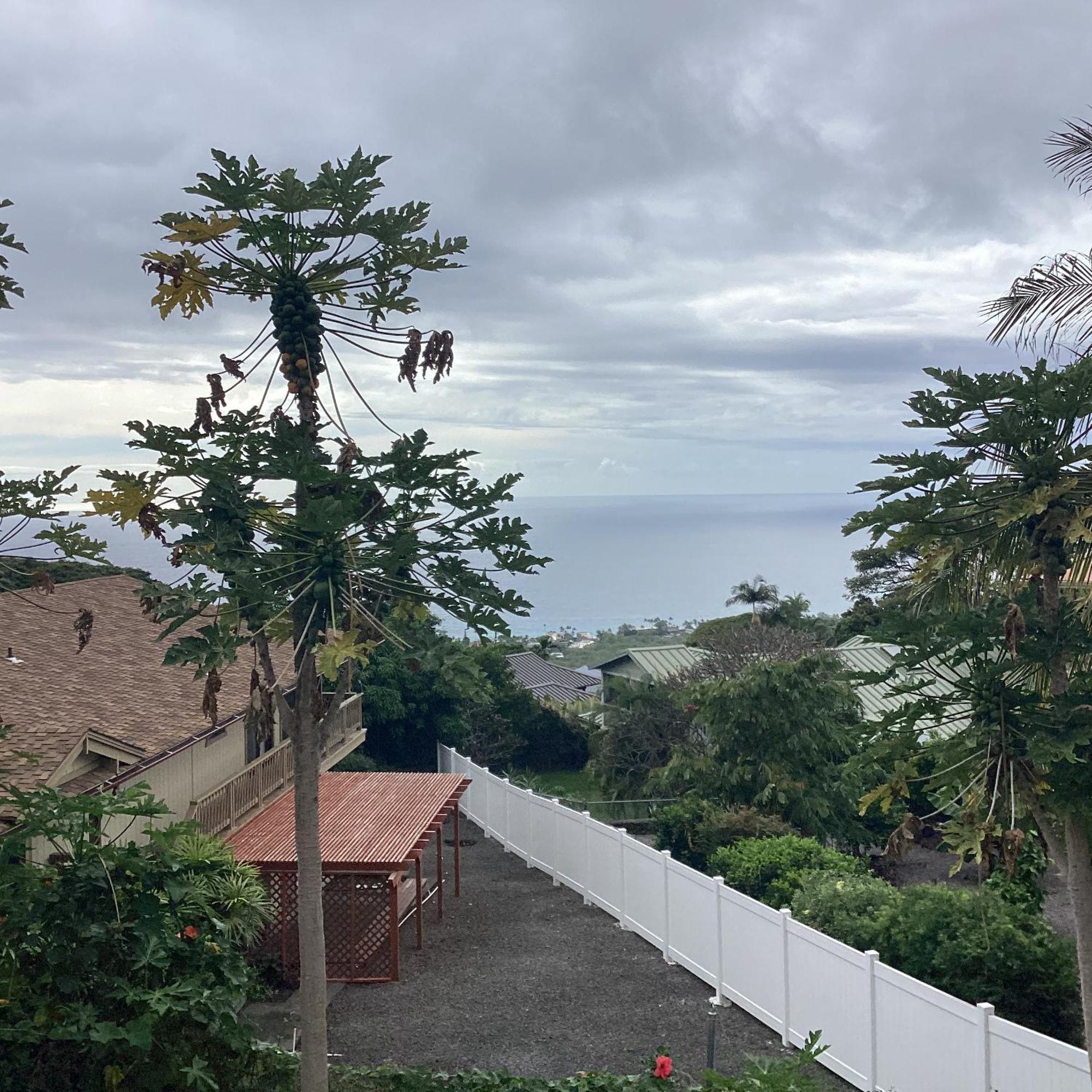 Kona Hawaii Guest House A Unique Hawaii Experience Keauhou Dış mekan fotoğraf