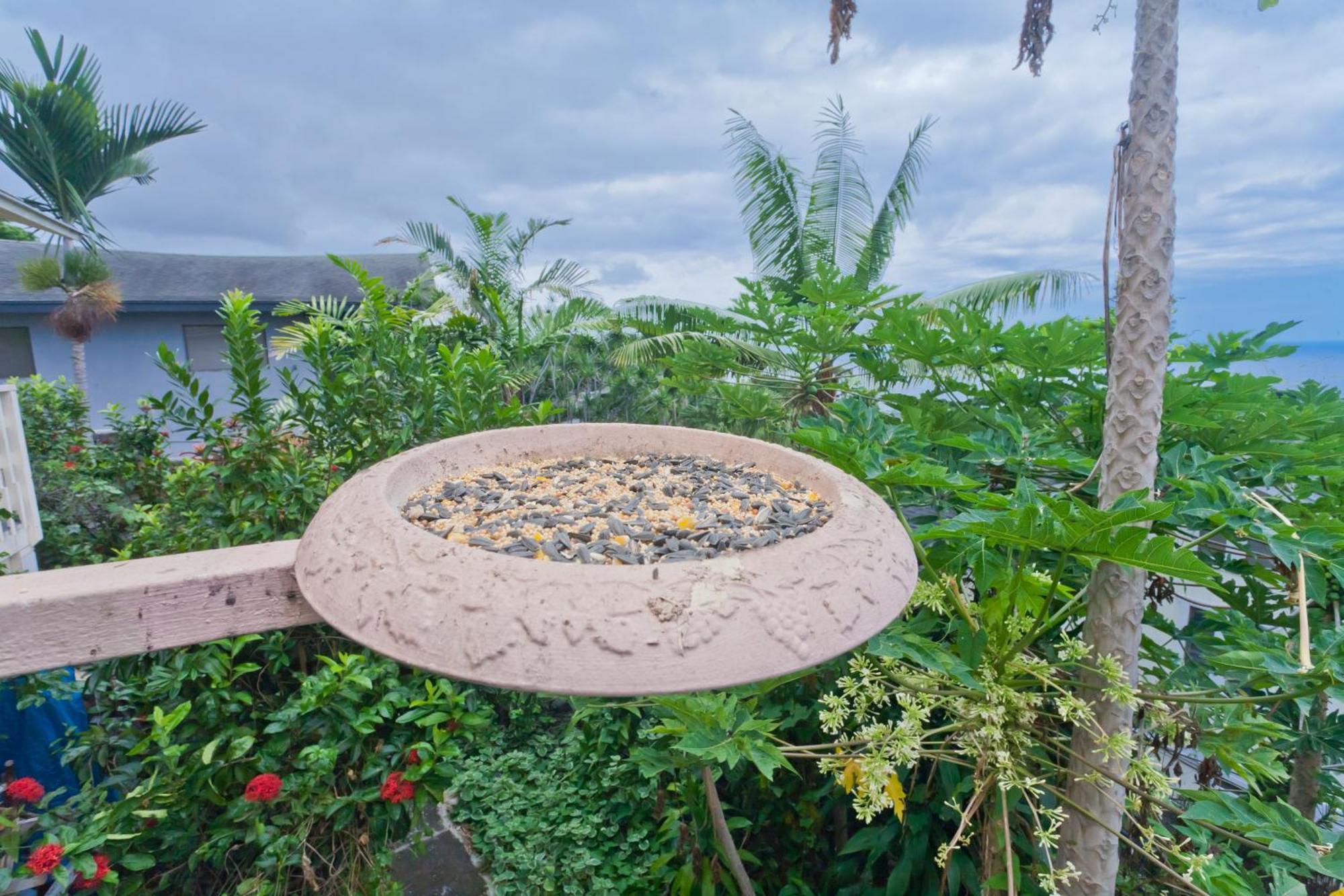 Kona Hawaii Guest House A Unique Hawaii Experience Keauhou Dış mekan fotoğraf